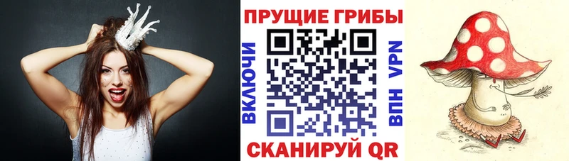 купить наркоту  Лукоянов  Галлюциногенные грибы Psilocybine cubensis 